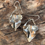 Folds earrings Salt and Steel Jewelry Silver with silver ear hooks 